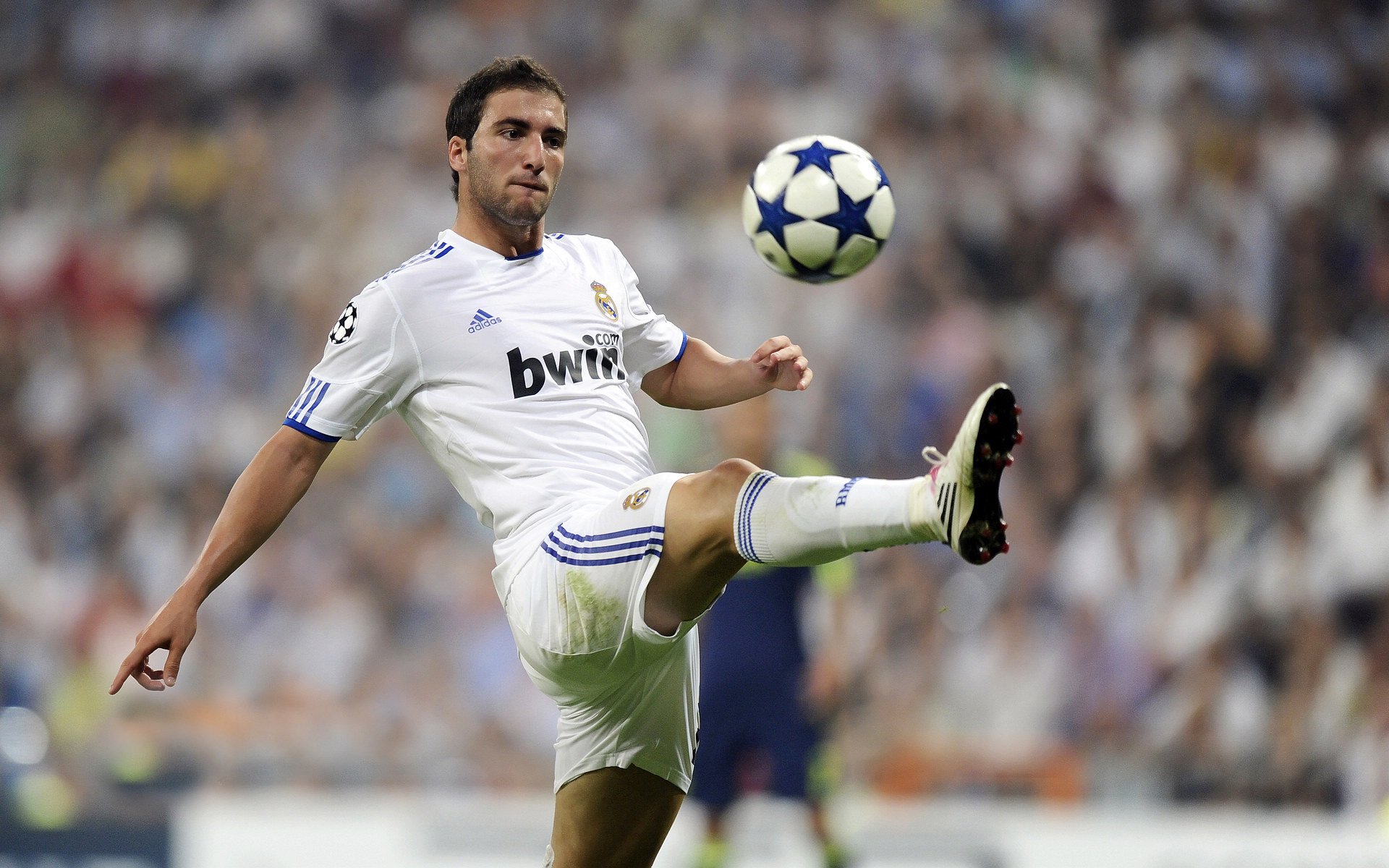 公牛队努力拼搏，迎接艰难赛季，公牛队集锦