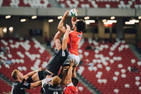 KAIYUN 中国大陆-“南非羚羊队的复兴之路：萨尔·巴赫的关键作用”